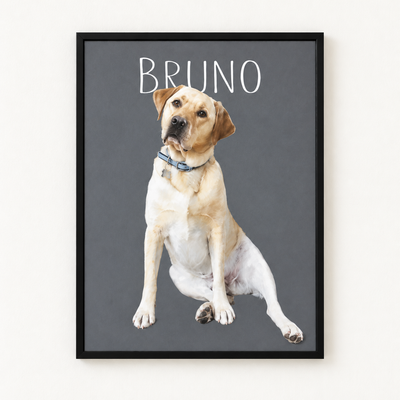 Custom Pet Poster